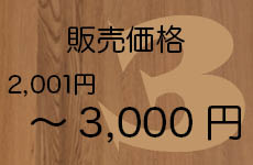 ～3,000円