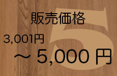 ～5,000円
